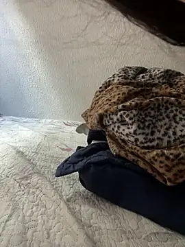 Snapshot of Moraguinho8 chatting on 02-25-26, 11:42 Moraguinho8 online show from 02-25-26, 11:42