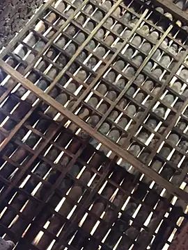 novinhavip777 online show from 02-09-26, 02:10