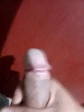 papi23l online show from 02-12-26, 07:47