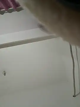 Snapshot of Chery_mup chatting on 03-26-26, 05:51 Chery mup online show from 03-26-26, 05:51