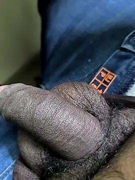 Tamil Bulll online show from 02-08-26, 09:29