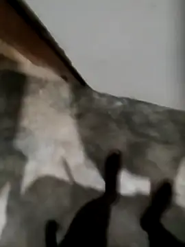 nisal 56 online show from 02-09-26, 01:48