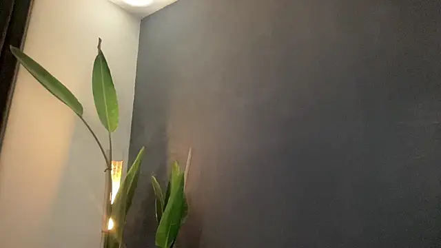 Rojan9850 online show from 02-17-26, 10:12