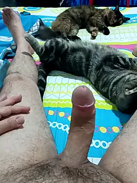 Snapshot of JFC161612 chatting on 04-07-26, 06:14 JFC161612 online show from 04-07-26, 06:14