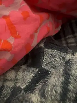 gbox123 online show from 02-11-26, 04:56