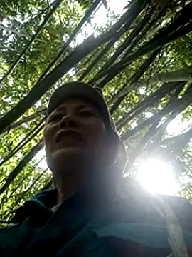 toyo 668 online show from 06-24-26, 07:29