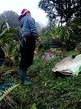 nelina 12345 online show from 02-13-26, 10:44