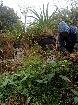 nelina 12345 online show from 02-15-26, 09:08