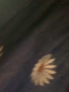 baeas-lan online show from 03-06-26, 10:06