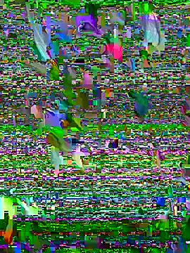 Sukem-mut online show from 04-06-26, 07:09