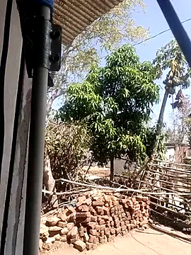 taniya0 online show from 03-13-26, 06:31