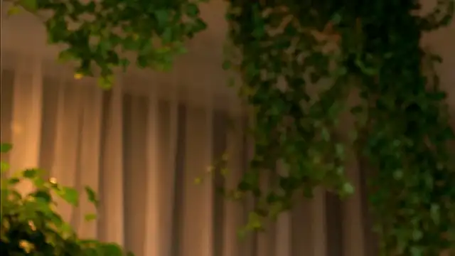 TheMaddisonShow  online show from 03-04-26, 03:56