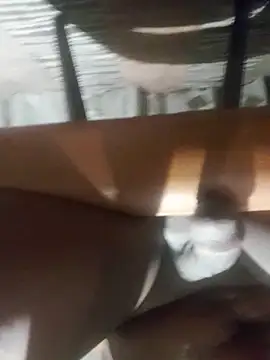 Snapshot of Cookiesucker2025 chatting on 03-15-26, 11:55 Cookiesucker2025 online show from 03-15-26, 11:55