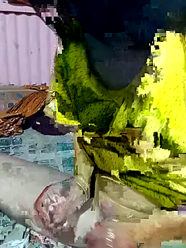 Snapshot of mimpake chatting on 04-02-26, 10:24 mimpake online show from 04-02-26, 10:24