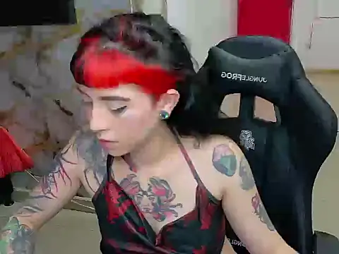 Snapshot of nova_kitttyy chatting on 02-20-26, 08:53 nova kitttyy online show from 02-20-26, 08:53