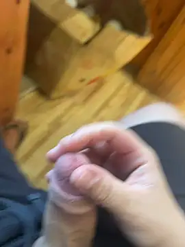 brunonovinho18 online show from 04-02-26, 07:11