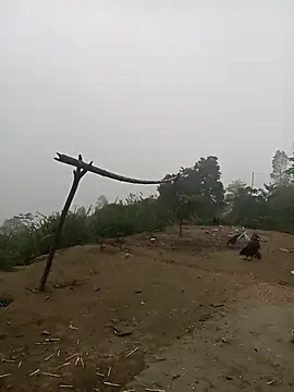 Nth5h online show from 03-30-26, 10:55