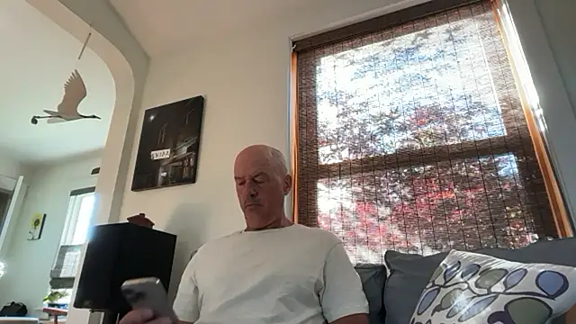 Snapshot of Guy__Grey chatting on 07-17-26, 11:39 Guy Grey online show from 07-17-26, 11:39