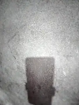 Snapshot of ngocbao11 chatting on 03-10-26, 12:54 ngocbao11 online show from 03-10-26, 12:54