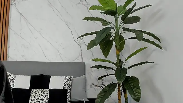 Snapshot of Amara_Velvet_ chatting on 07-14-26, 09:53 Amara Velvet online show from 07-14-26, 09:53