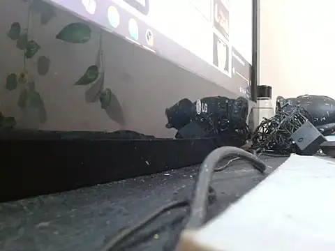 powderblu69 online show from 05-06-26, 06:57
