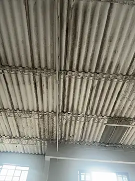 soribakerr online show from 03-25-26, 08:26