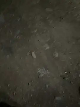 parth73637 online show from 02-23-26, 02:47