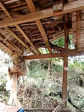 elen8800 online show from 04-14-26, 04:07