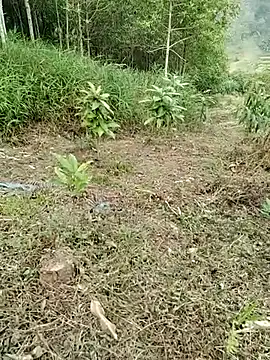 Snapshot of 01_ANNA_01 chatting on 03-27-26, 09:32 01 ANNA 01 online show from 03-27-26, 09:32