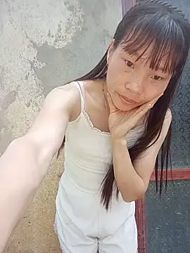 pic8800 online show from 05-15-26, 11:56