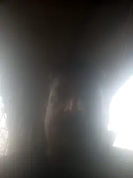 Snapshot of siva6703 chatting on 03-07-26, 09:50 siva6703 online show from 03-07-26, 09:50