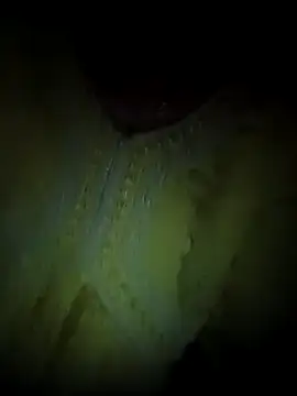 Rashmika Mandana online show from 04-08-26, 07:03