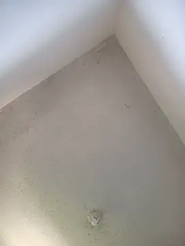 priscilaf online show from 04-19-26, 11:53