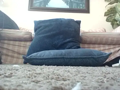 Snapshot of WorthingtonM3 chatting on 03-20-26, 03:50 WorthingtonM3 online show from 03-20-26, 03:50