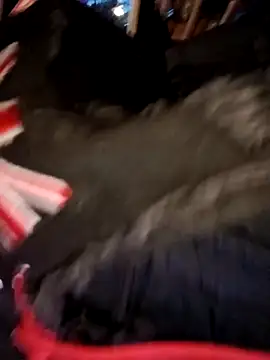 Zorrapunka online show from 03-31-26, 04:18