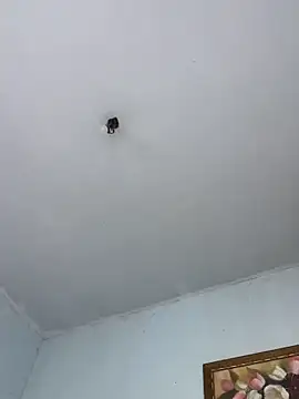 Snapshot of BigBig024 chatting on 03-08-26, 05:17 BigBig024 online show from 03-08-26, 05:17