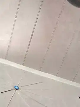 CirclingClass online show from 03-04-25, 08:16