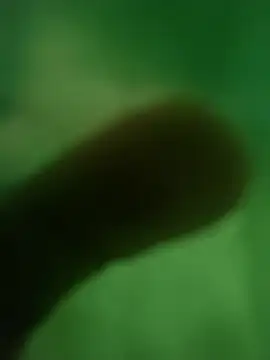 ffgffefgg online show from 03-12-26, 12:39