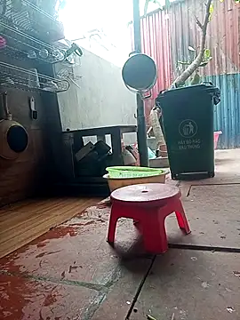 Leylin 1 online show from 03-23-26, 06:06