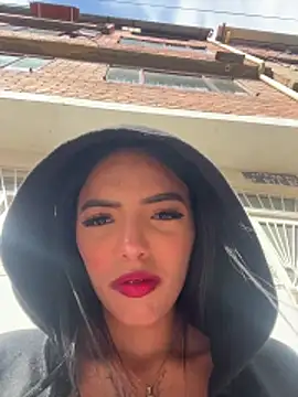 sylphiee  online show from 04-02-26, 08:17