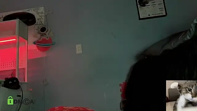 NatryDark online show from 05-16-26, 04:42
