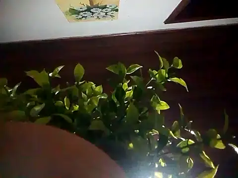 KikoKratos online show from 07-06-26, 03:03