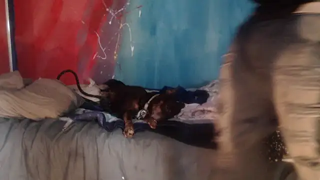 punkyslut69 online show from 04-14-26, 06:25