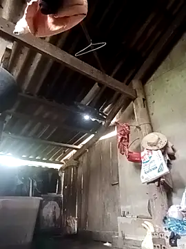 Yuki-min online show from 04-23-26, 02:46