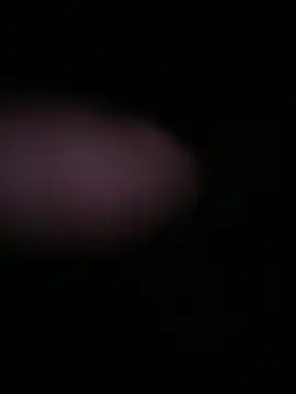 globalfucker34 online show from 03-22-26, 08:34