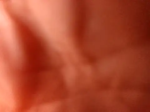 PinkredWad online show from 04-01-26, 01:41