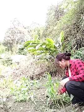 Snapshot of Giang-mylove chatting on 04-04-26, 02:32 Giang-mylove online show from 04-04-26, 02:32