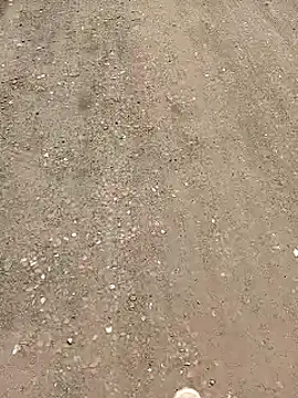 minauu s online show from 04-03-26, 05:00