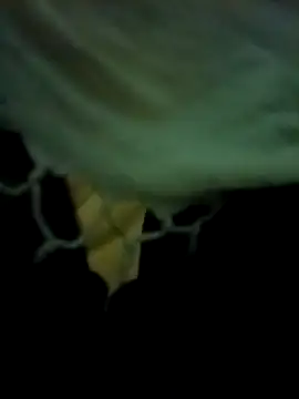 yourdreamman007  online show from 03-31-26, 11:27