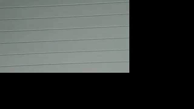 Tigrao18m online show from 05-01-26, 11:42